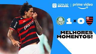 PALMEIRAS 1 X 0 FLAMENGO  Melhores Momentos  Copa do Brasil 2024 [upl. by Nylloc]