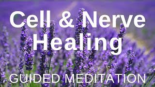 Guided HEAL Meditation  Cell and Nerve Healing Self Healing Meditation [upl. by Starobin]