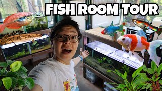 My FIRST FISH ROOM TOUR [upl. by Ynaffik969]