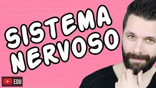 SISTEMA NERVOSO  FISIOLOGIA  Aula  Biologia com Samuel Cunha [upl. by Iras]