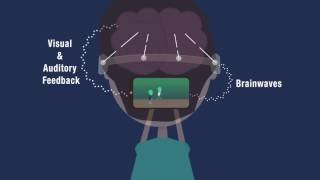 Electroencephalography EEG Explained  Neuroscience Methods 101 [upl. by Entwistle399]