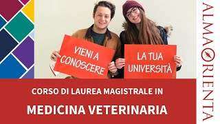 Laurea Magistrale a Ciclo Unico in Medicina veterinaria [upl. by Enra]