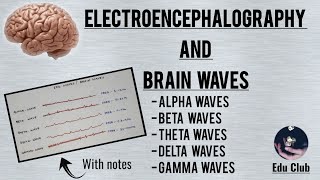 Rat Epidural EEG Electrode Surgery [upl. by Hepza]