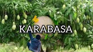 KARABASA Ilocano Inspirational Christian Song with lyrics [upl. by Oilejor978]