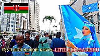 Eastleigh NAIROBI KENYA 🇰🇪  The Little Mogadishu VIRAL 2024 [upl. by Hayalat]