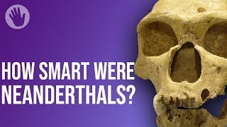 How Smart Were Neanderthals [upl. by Line874]