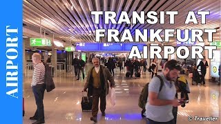 TRANSIT WALK AT FRANKFURT Airport FRA Terminal 1  Connection Flight Transfer Arriving amp Departing [upl. by Olraced992]